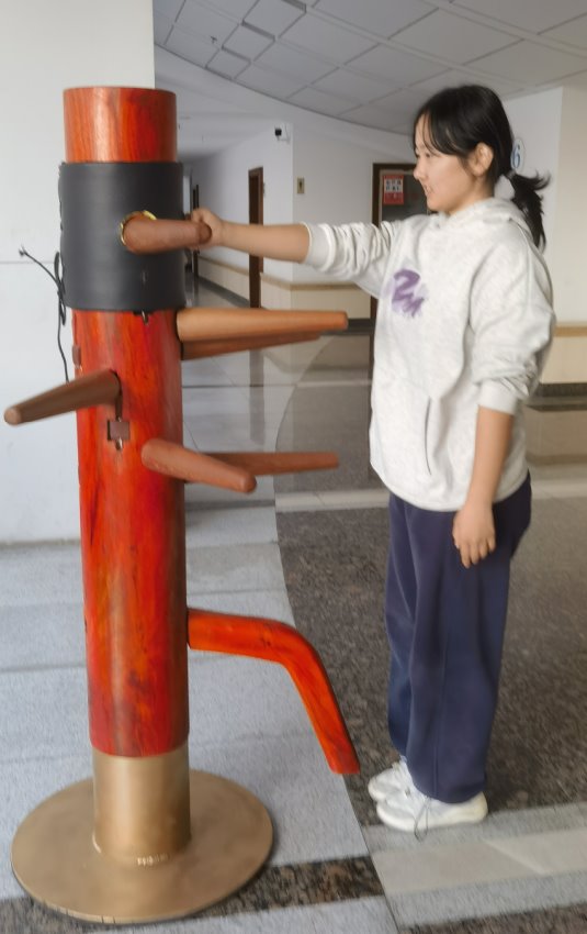 九手木人桩A-1